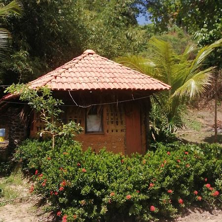 Ecopousada Casa Do Carimbo Fortalezinha 阿尔戈杜瓦尔 外观 照片
